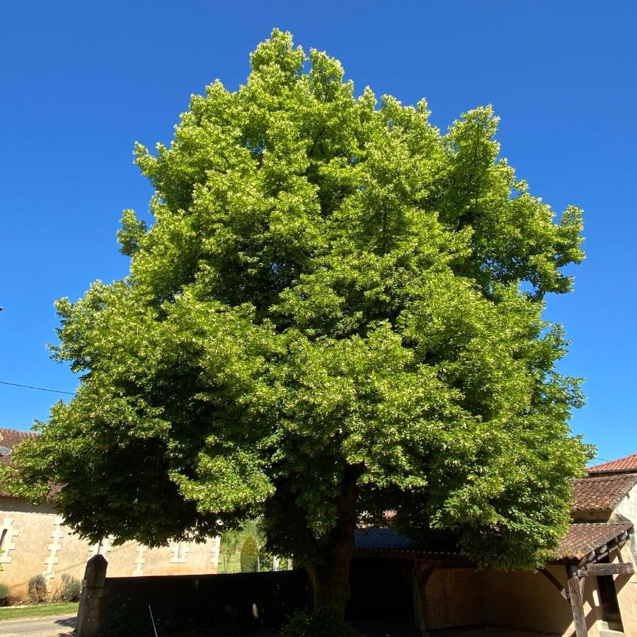 Le Chatenet 1689 Brantôme Dış mekan fotoğraf