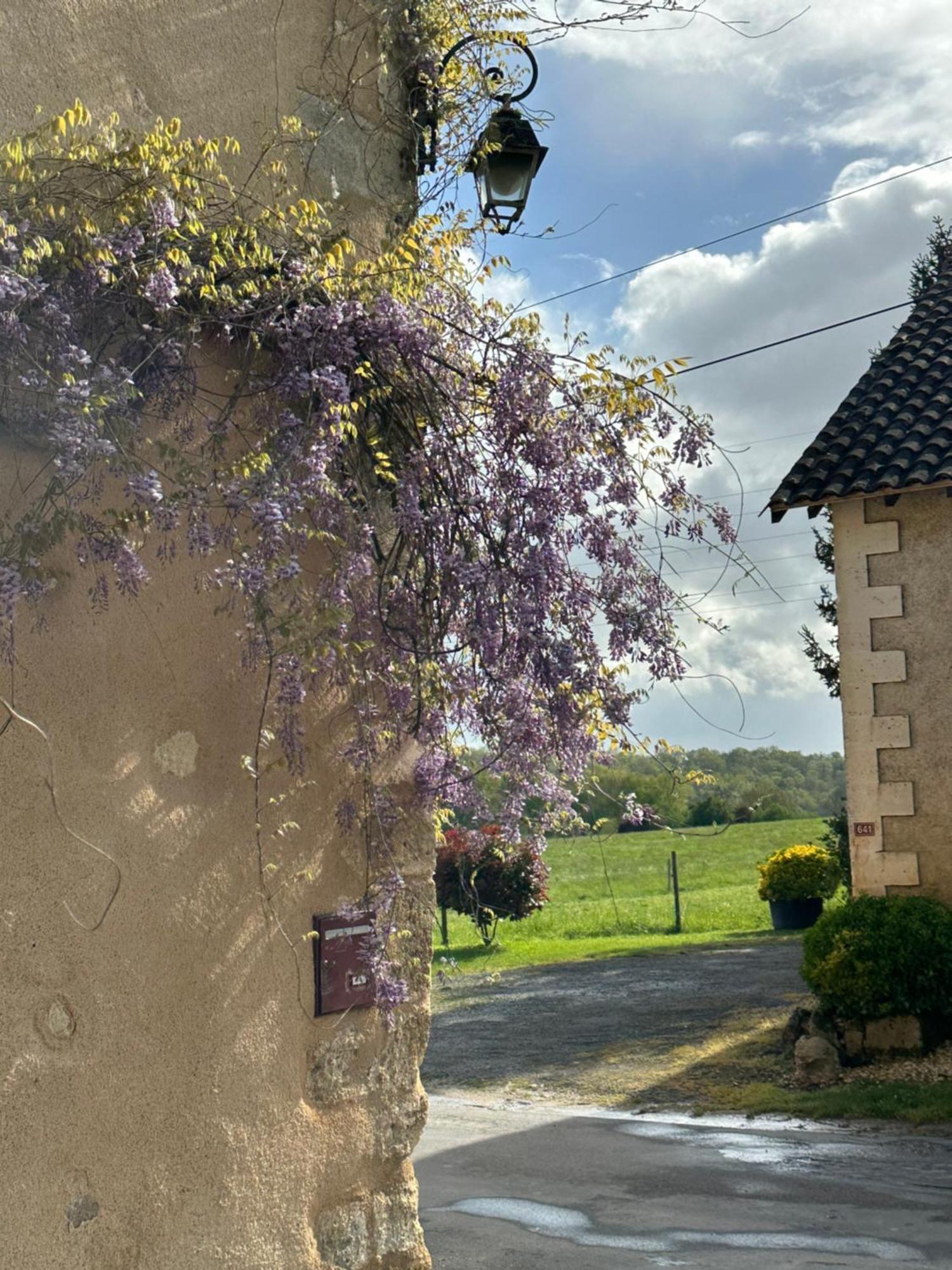 Le Chatenet 1689 Brantôme Dış mekan fotoğraf