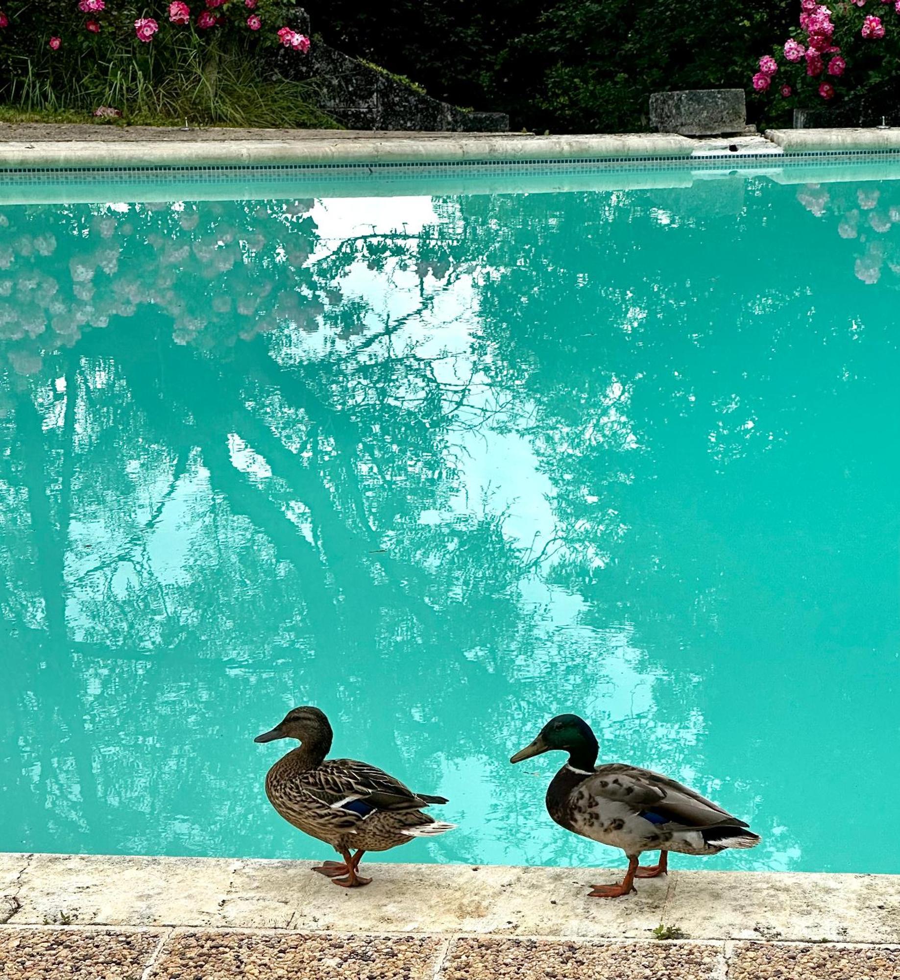 Le Chatenet 1689 Brantôme Dış mekan fotoğraf